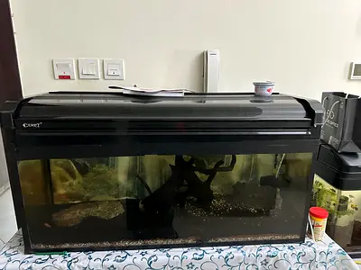 120cm Glass Aquarium Tank with Hood and Filtration (used),driftwood,rocks