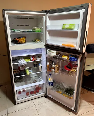 Samsung 388L Top Mount Refrigerator Refined Inox Color RT50CG6404S9