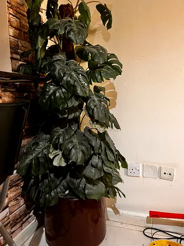 Large Artificial Monstera Plant with Pot - Good Condition