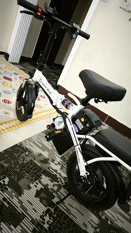 Foldable Electric Bike — great Condition, Short Range Commuter