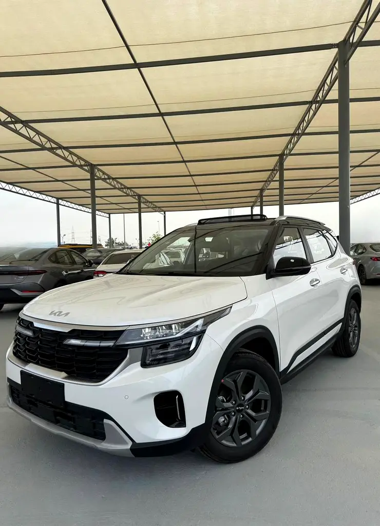 Kia Seltos 2025 — photo 1 of 12