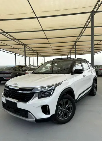 KIA SELTOS LUXURY EDITION DUAL TONE FOR SALE PERFECT DEAL