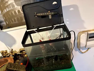 Small Glass Aquarium Tank with Filter, Light and Gravel - Used