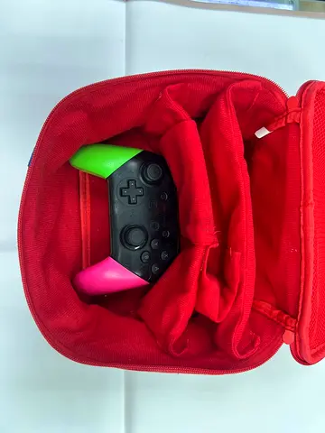 Nintendo switch pro controller