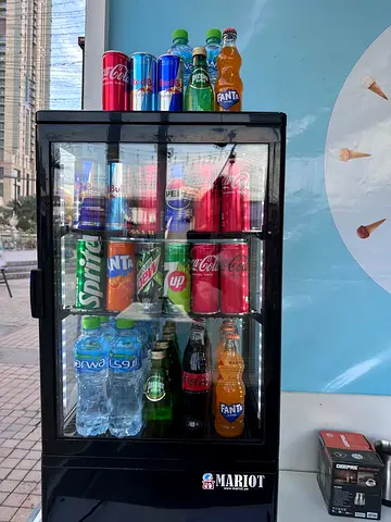 Fridge for commercial