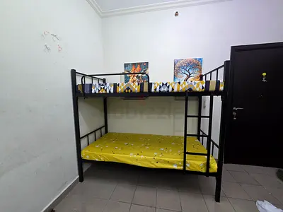 Bunk Bed