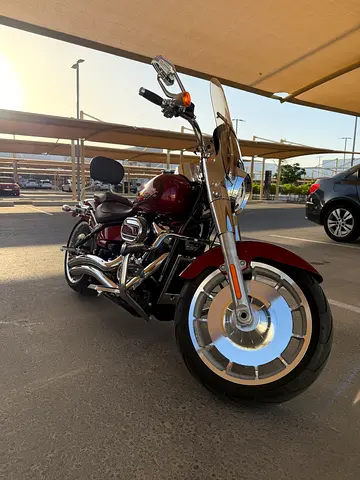 2023 Harley-Davidson ® Fat Boy ®
Anniversary Edition