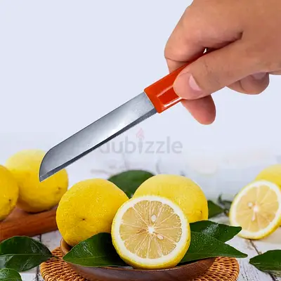 Small Kitchen Paring Knife - Single Piece