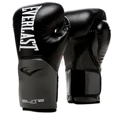 Everlast Boxing Gloves