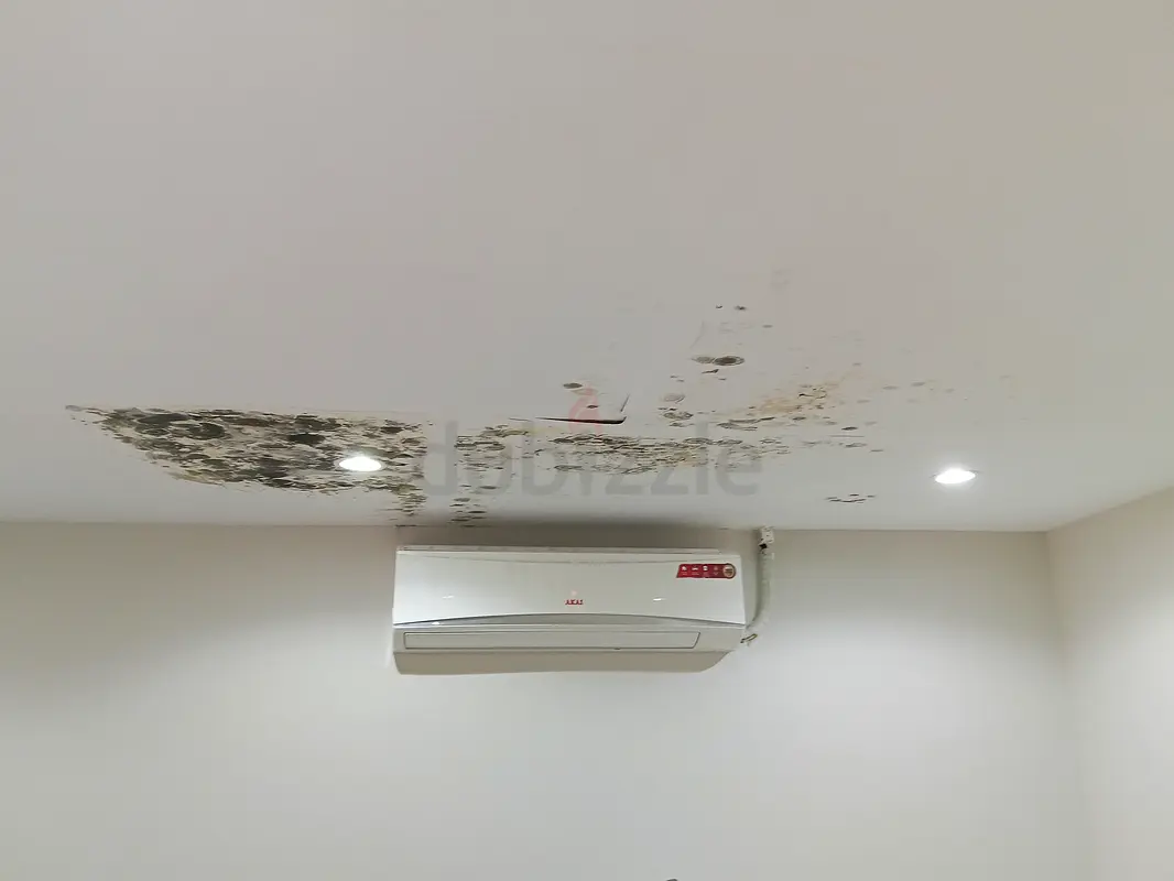 DPV_View_Image_1