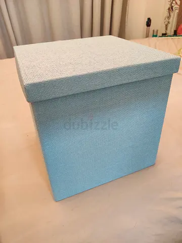 2 Blue Storage boxes