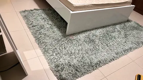 Soft Shaggy Area Rug — Light Green, 2.5m x 1.8m (approx)