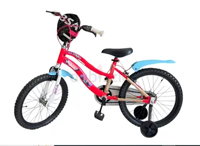 BSA Girls Bicycle 20 - Brand New