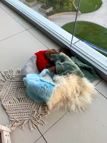 Bundle of faux fur mats  — assorted colors, good condition for newborn photography props. Wholesale