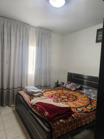 Master Bedroom Available for Rent