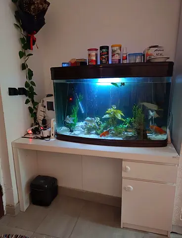 Complete Aquarium Setup with Fish + Filter + Heater + IKEA Table – Ready to Use