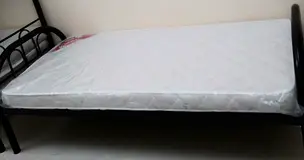 Bedspace available in DIP1