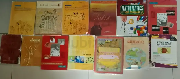 School Textbooks and Workbooks Collection - Mixed Subjects (Class 10/Secondary) - Used
