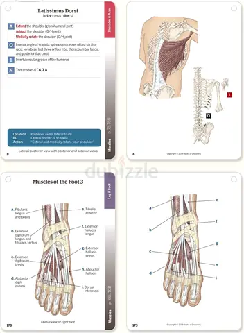 Trail guide to the body flash card - Vol 2