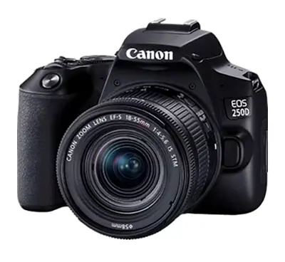 Canon 250D camera