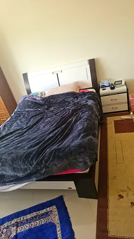 Single/Double Bed Frame with Headboard - Good Condition