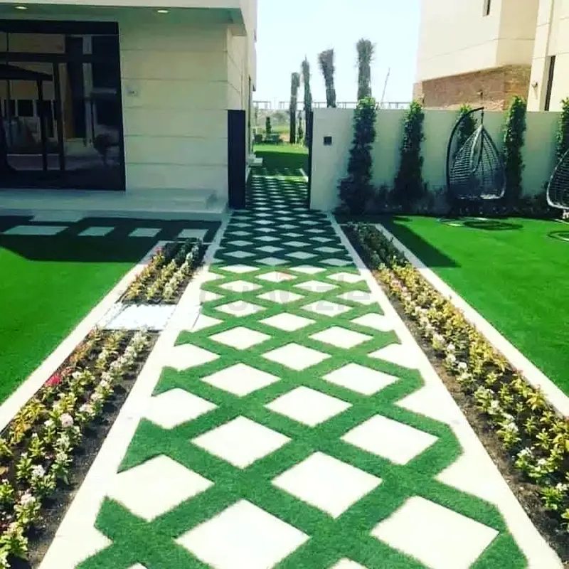 DPV_View_Image_1