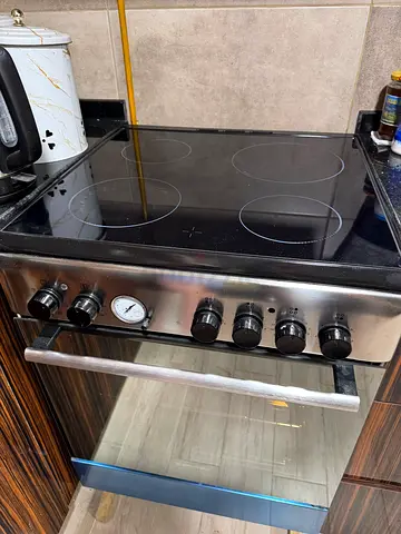 Oven with electric range