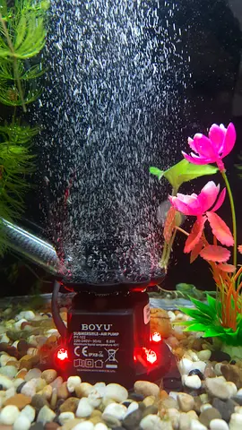 BOYU Bubble Tower Air Pump with LED Base for Aquarium (Brand New)