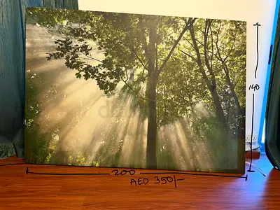 IKEA Large Forest Canvas Wall Art 200x140 cm - Sunlight Through Trees