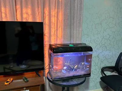 Used Aquarium Fish Tank with LED Hood and Accessories