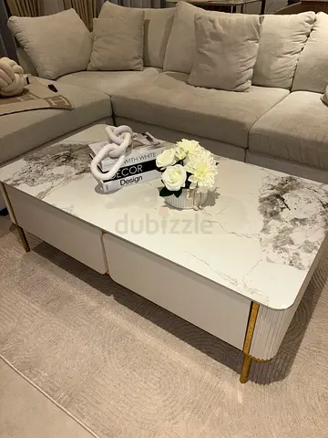Modern Marble-Top Coffee Table with Storage (Light Grey  Gold Accents)