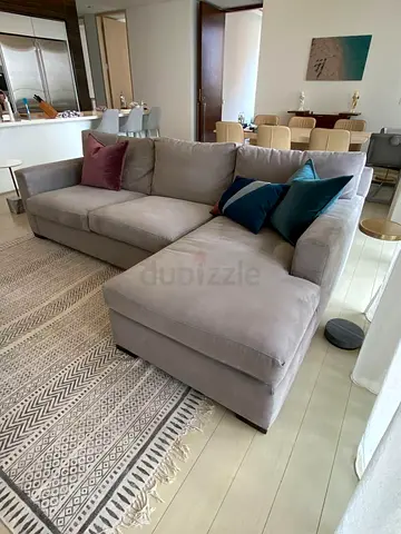 Sectional Axis L shape sofa