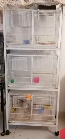 Bird cages with stand in good condition