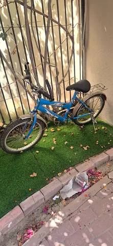 Mirdif 15 street villa 28c