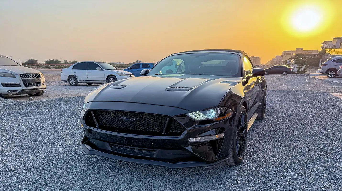 Ford Mustang 2019 — photo 1 of 14