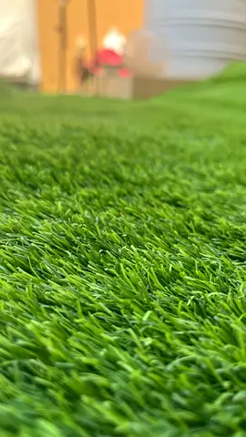 Fake Grass