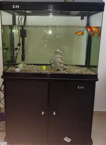 55cm Glass Fish Aquarium with Cabinet and Accessories