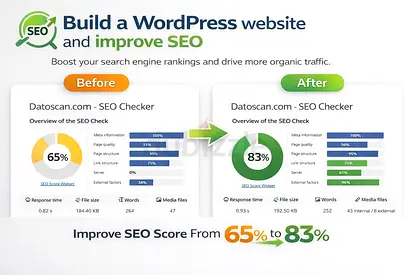 Professional Wordpress Developer  SEO Expert