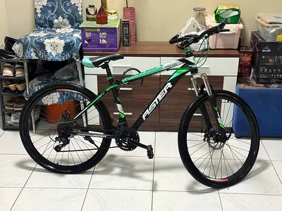 Aster Mountain Bike - 26 Frame, 21 Speed, Good Condition