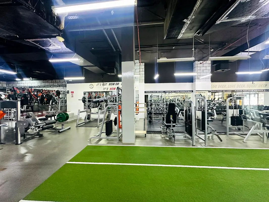 gallery-image