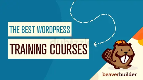 Learn WordPress  Build Professional Websites Easily