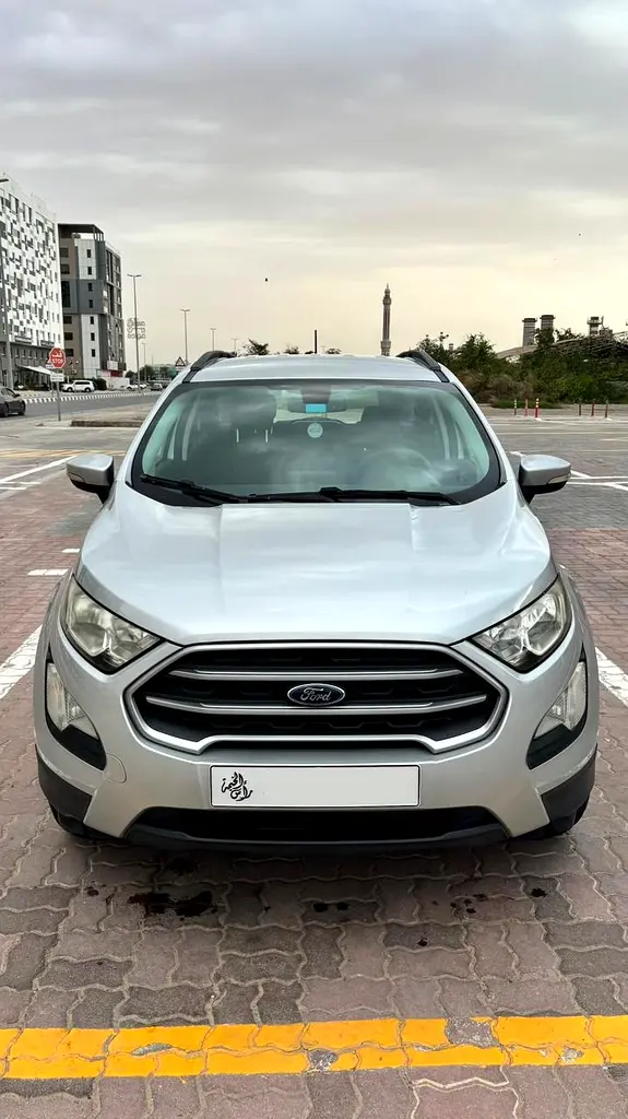 Ford Ecosport 2019 — photo 1 of 10