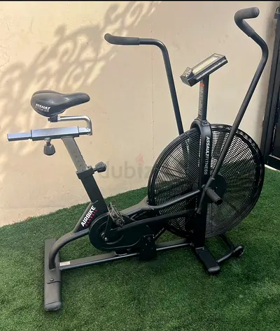 Assault Air bike classic