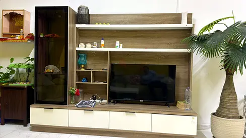 Modern Wall Unit TV Entertainment Center with Storage