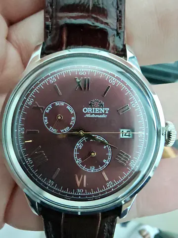 Orient Bambino