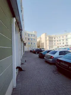 Street-Facing Shop | France Cluster P-17 | Park &amp; Road View