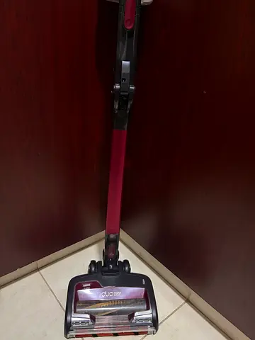 Shark duo clean