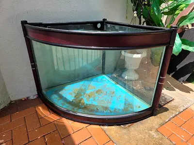 Elegent 350 litre Corner glass aquarium tank