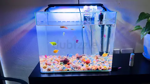 Glass Aquarium Kit with FREE Fish, LED Light and Filter - Ready to Use