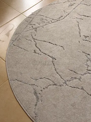 Carpet/Modern Rug - Great Condition